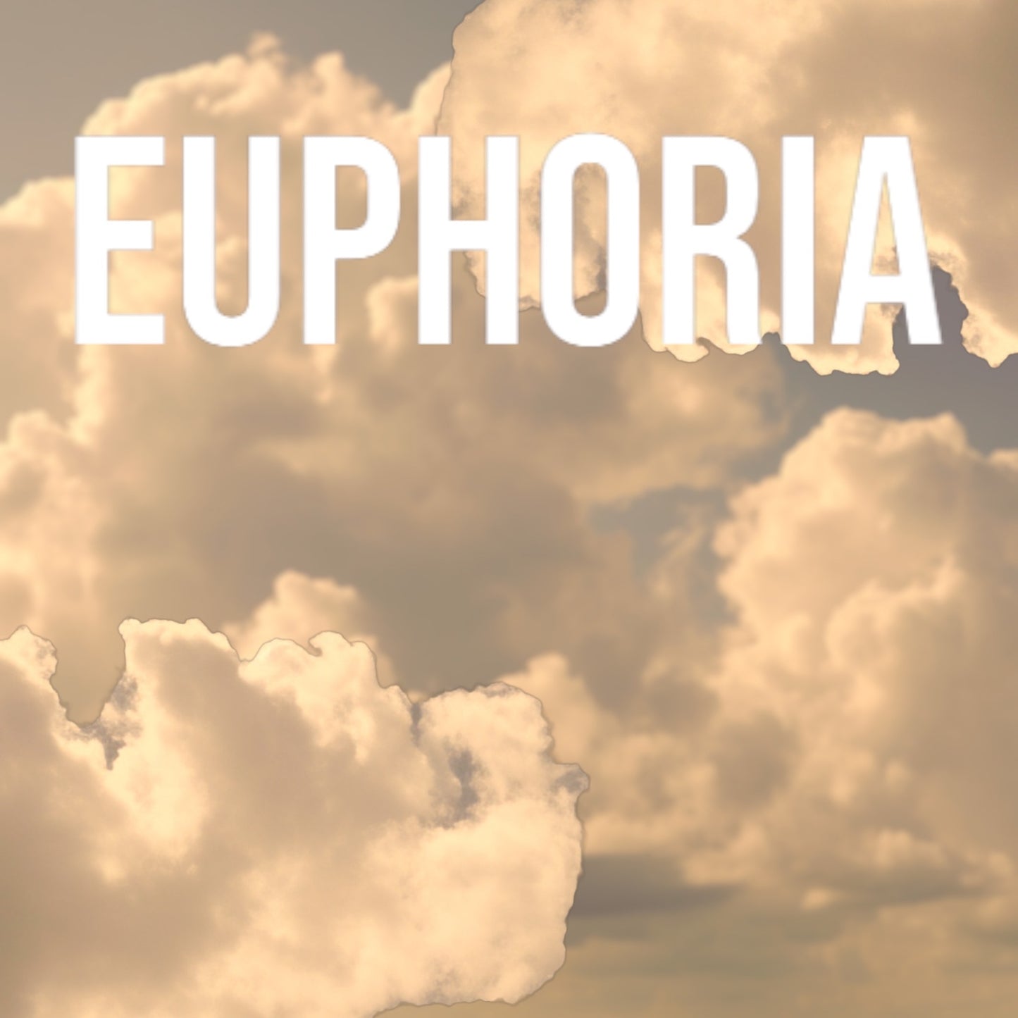 Euphoria | Clean Perfume | Natural Eau De Parfum Essential Oil Based