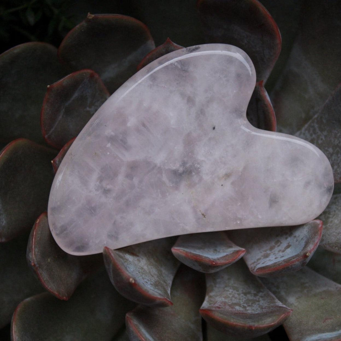 Gua Sha Tool | Rose Quartz - freyjabotanicals